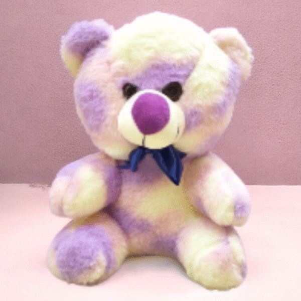 Supply Smiles Multicolor Teddy Bear Plush Soft Toy | Cute Stuffed Animal for Kids & Gifting | 25 CM